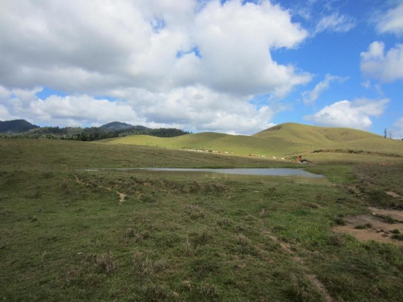 Japoonvale QLD 4856