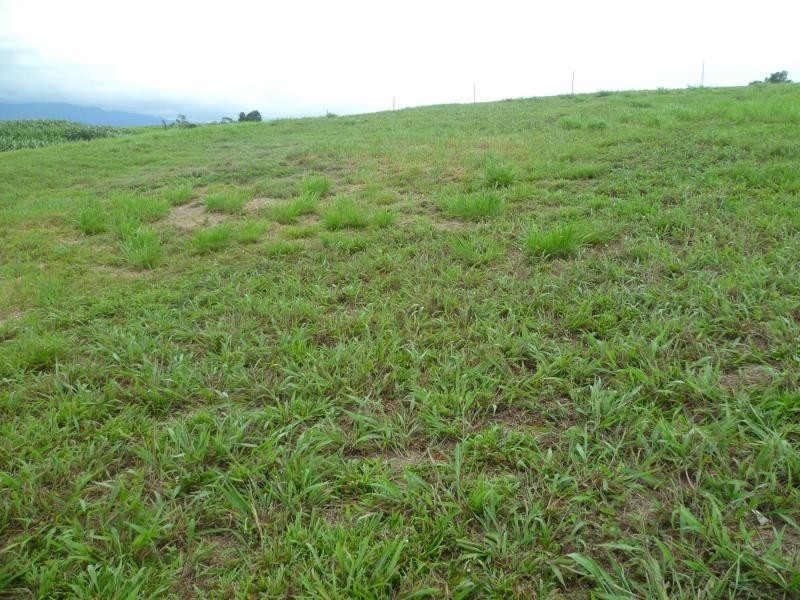 Innisfail QLD 4860