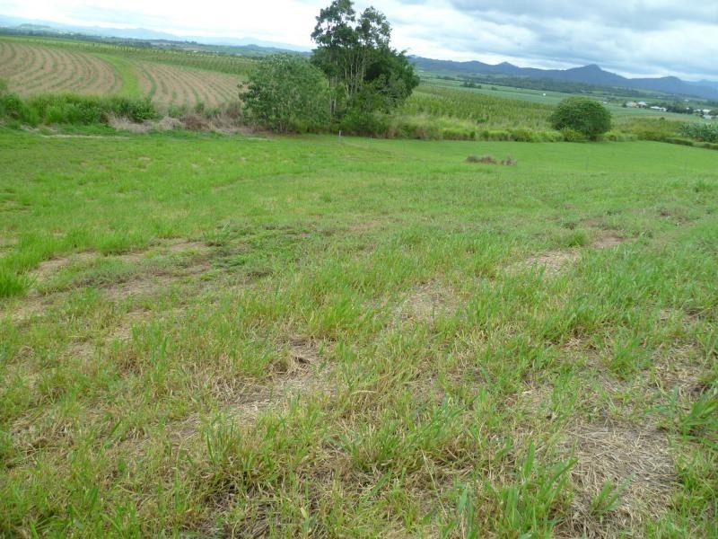 Innisfail QLD 4860