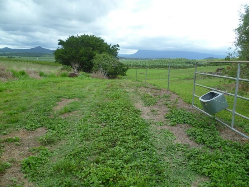 Innisfail QLD 4860