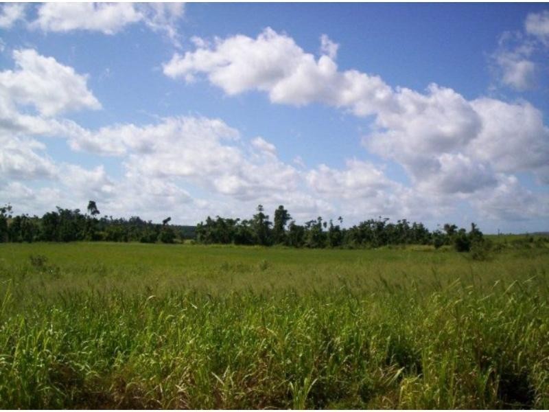 Mena Creek QLD 4871