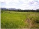 Mena Creek QLD 4871