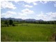Mena Creek QLD 4871