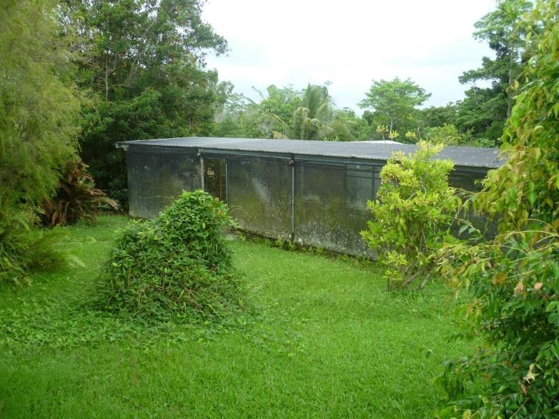 4 CARGILL Street, INNISFAIL, Innisfail QLD 4860