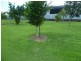 Innisfail QLD 4860