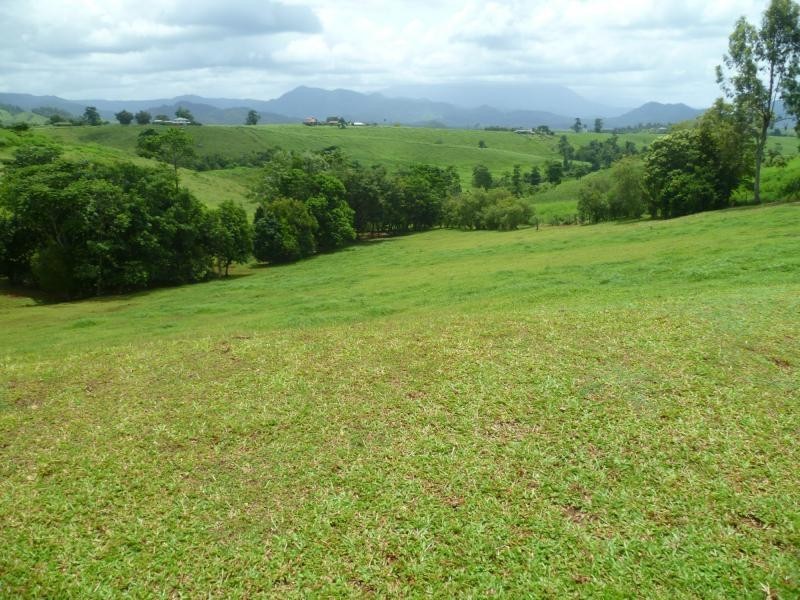 East Palmerston QLD 4860