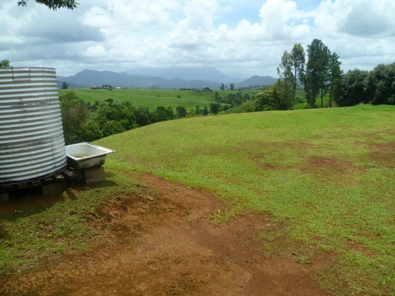 East Palmerston QLD 4860