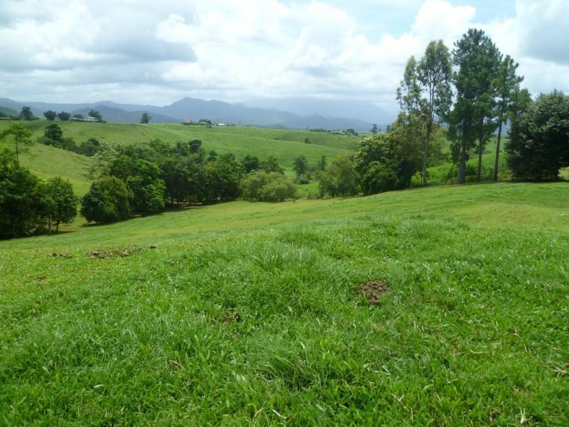 East Palmerston QLD 4860