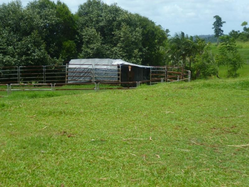 East Palmerston QLD 4860