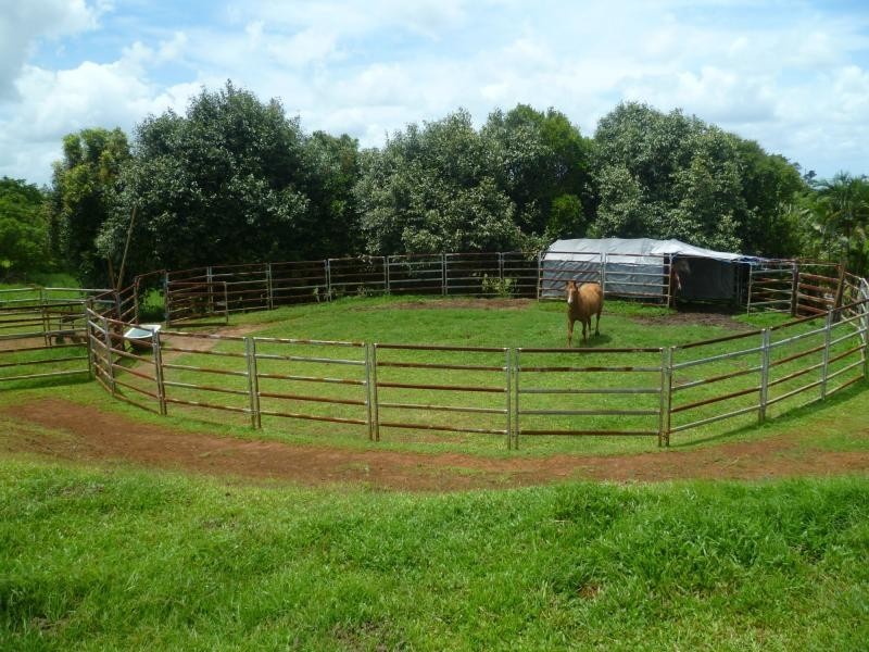 East Palmerston QLD 4860