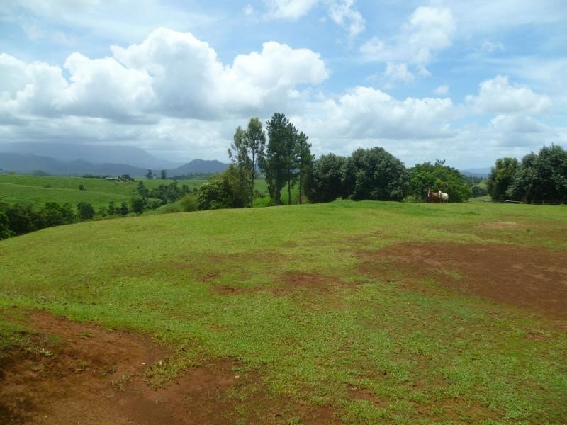 East Palmerston QLD 4860