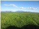 Pin Gin Hill QLD 4860