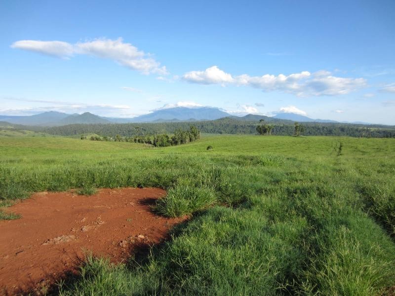 Pin Gin Hill QLD 4860