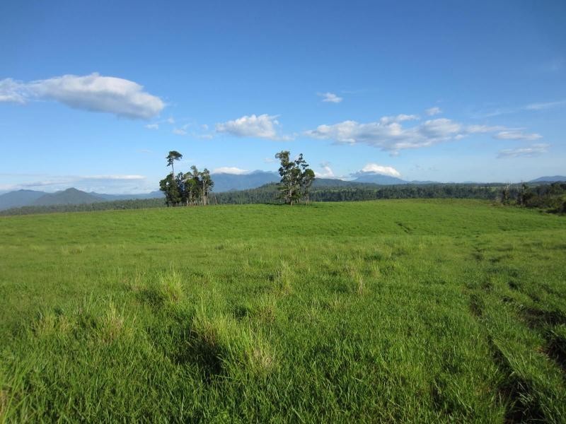 Pin Gin Hill QLD 4860