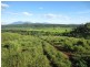 Pin Gin Hill QLD 4860