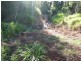 Pin Gin Hill QLD 4860