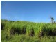 Pin Gin Hill QLD 4860
