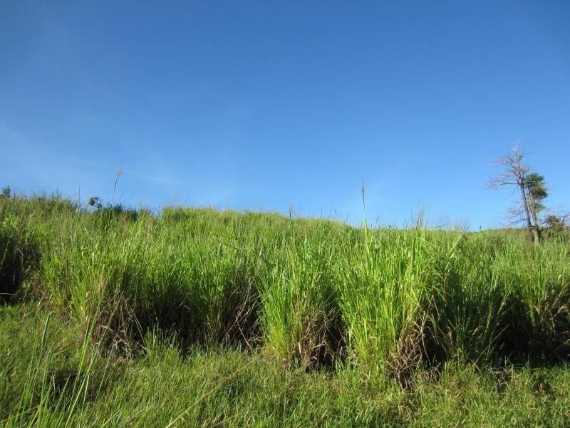 Pin Gin Hill QLD 4860