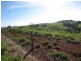 Pin Gin Hill QLD 4860