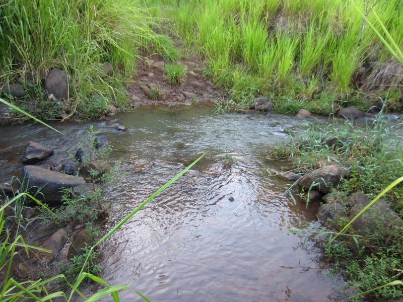 Pin Gin Hill QLD 4860