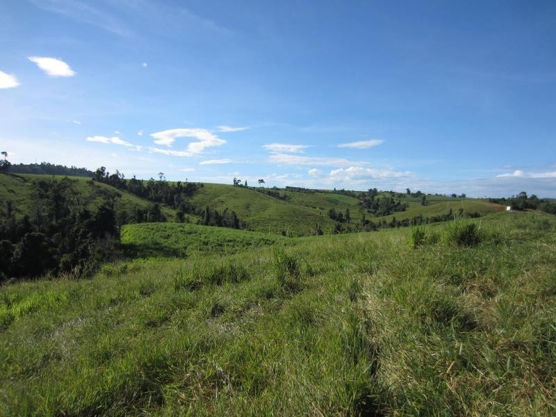 Pin Gin Hill QLD 4860