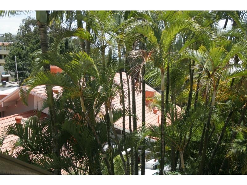 58/52 Hastings Street, Noosa Heads QLD 4567