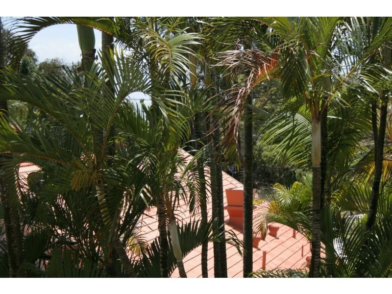 58/52 Hastings Street, Noosa Heads QLD 4567