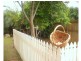 9 Apollo Drive, Andergrove QLD 4740