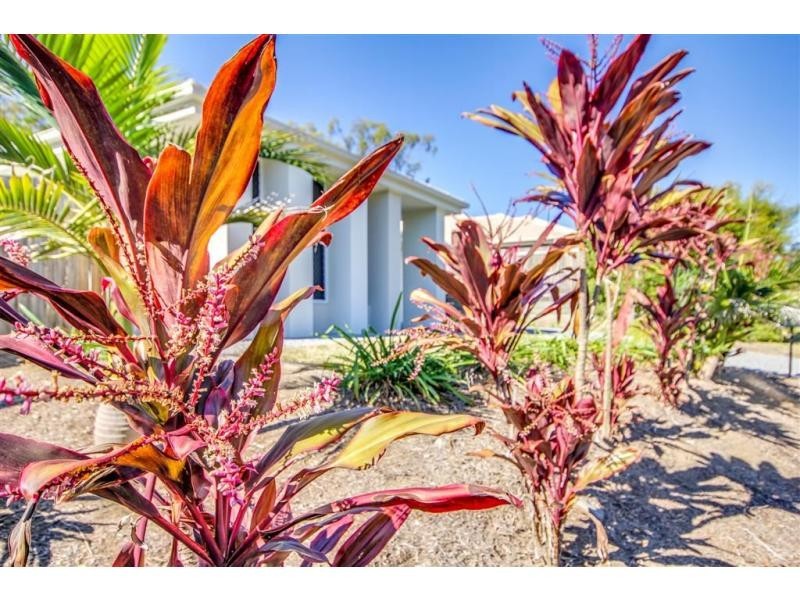 18 Lachlan Lane, Hillcrest QLD 4118