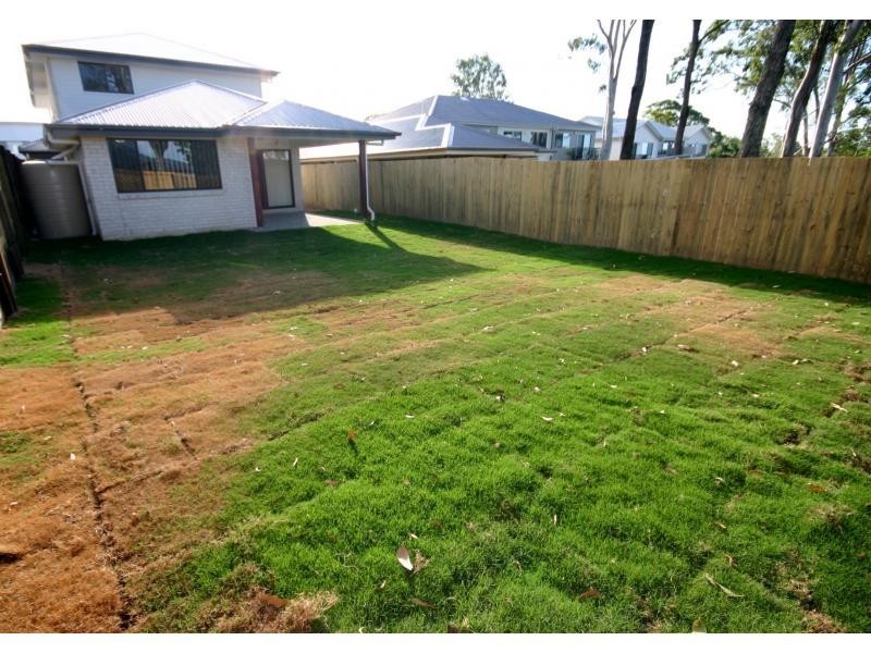 24 Northmarque Street, Carseldine QLD 4034