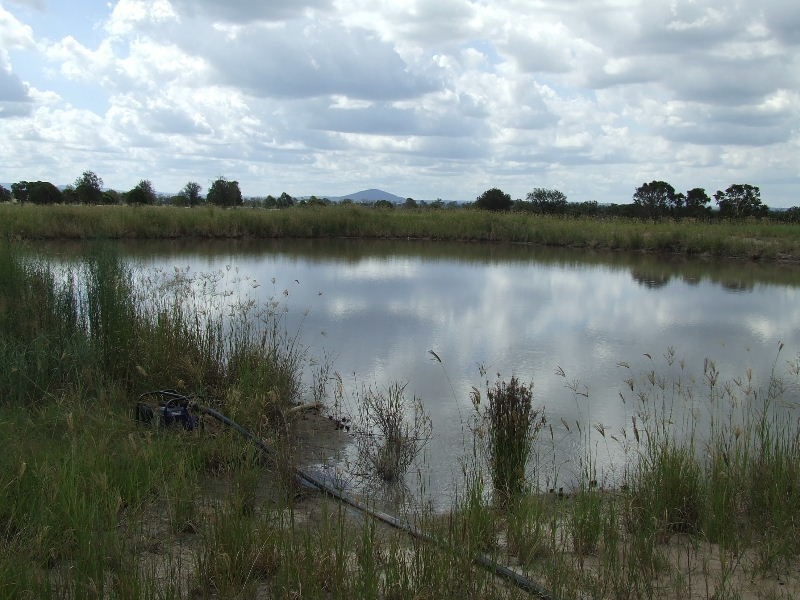 Mount Tarampa QLD 4311