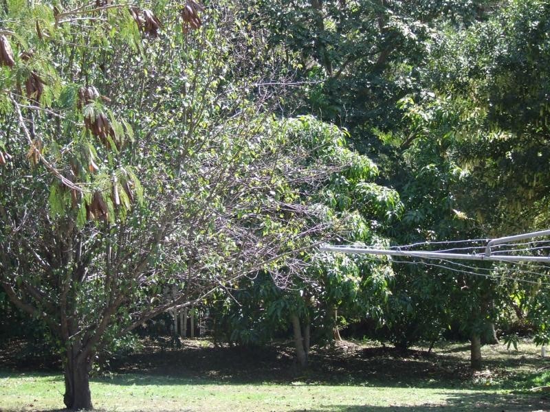 Minden QLD 4311