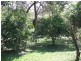 Minden QLD 4311
