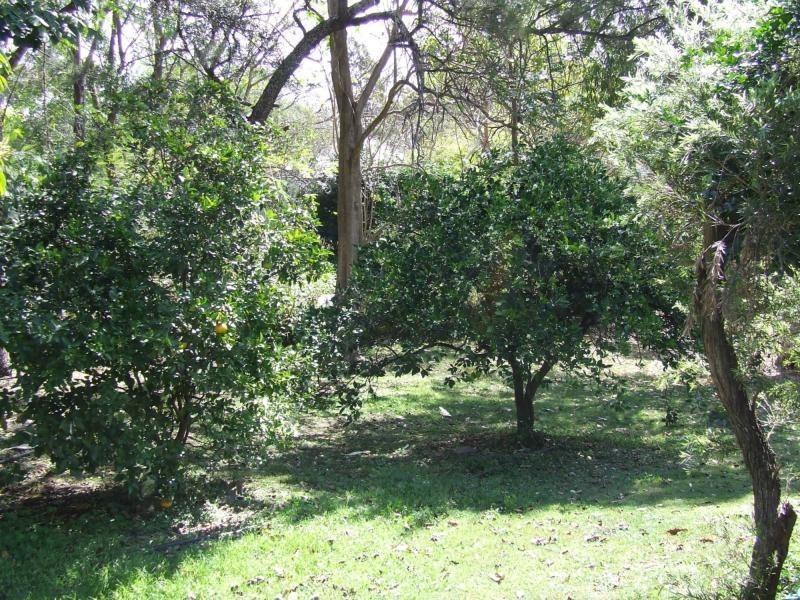 Minden QLD 4311