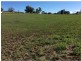 19 Carol -Ann Court, Regency Downs QLD 4341