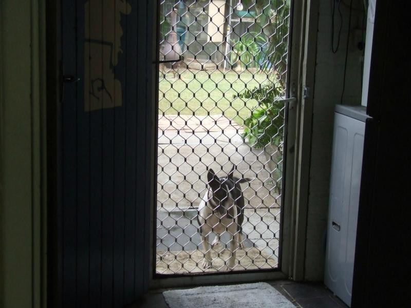 12 Thomas Street, Flinders View QLD 4305