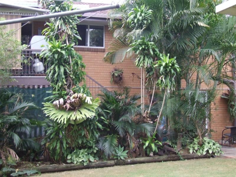 12 Thomas Street, Flinders View QLD 4305