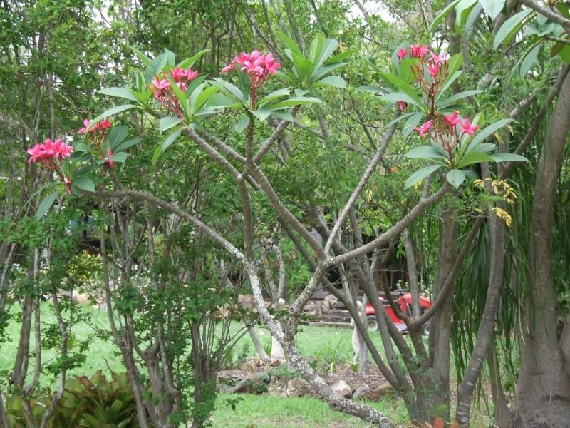 Atkinsons Dam QLD 4311
