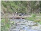 Black Duck Creek QLD 4343