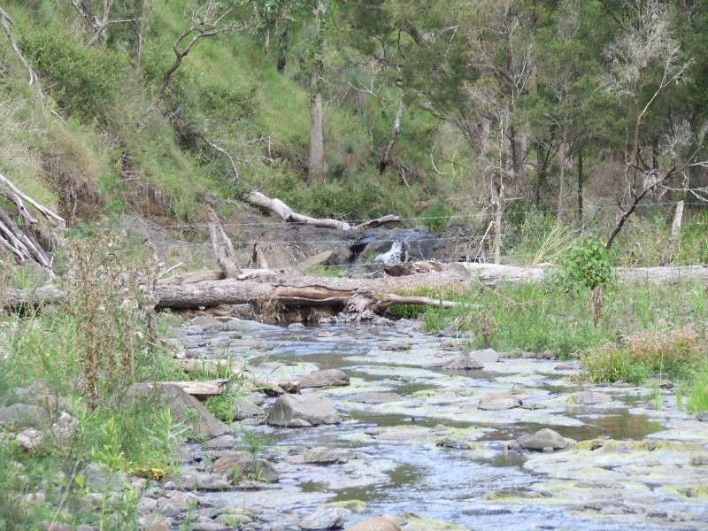 Black Duck Creek QLD 4343