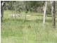 Black Duck Creek QLD 4343