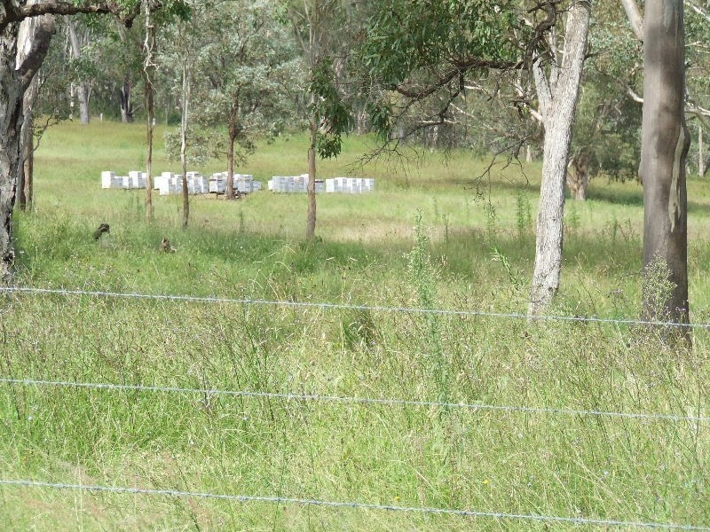 Black Duck Creek QLD 4343