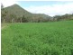 Black Duck Creek QLD 4343