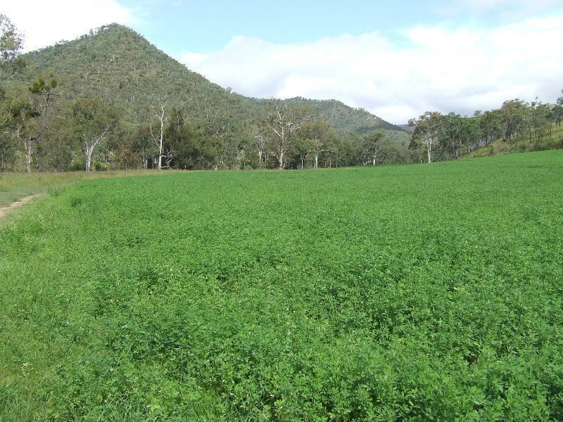 Black Duck Creek QLD 4343