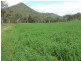 Black Duck Creek QLD 4343