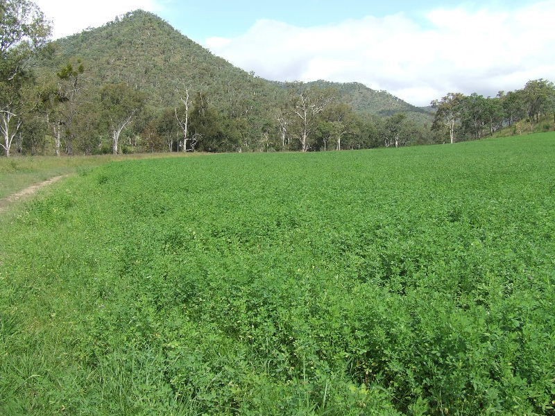 Black Duck Creek QLD 4343