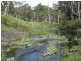 Black Duck Creek QLD 4343