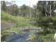 Black Duck Creek QLD 4343