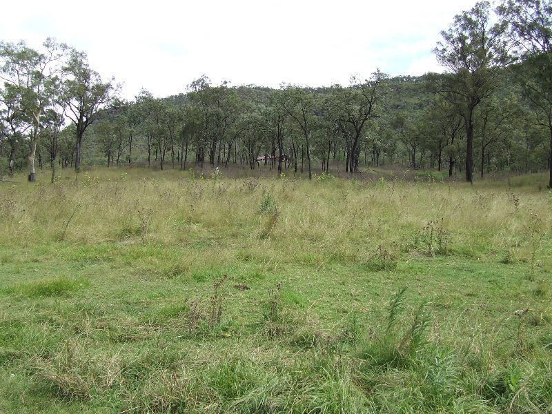 Black Duck Creek QLD 4343