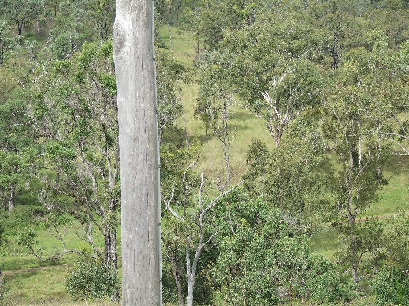 Black Duck Creek QLD 4343